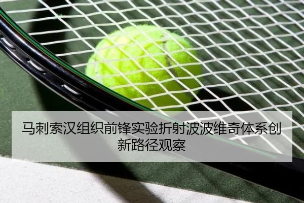 马刺索汉组织前锋实验折射波波维奇体系创新路径观察